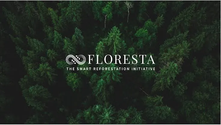 Floresta - project photo